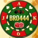 BRO444 Game