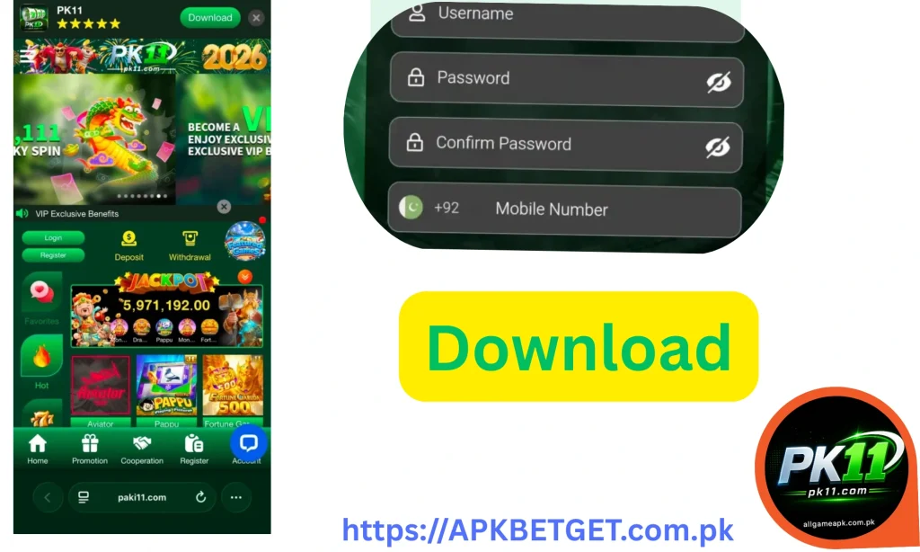 PK11 Login
