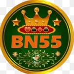 BN55.COM