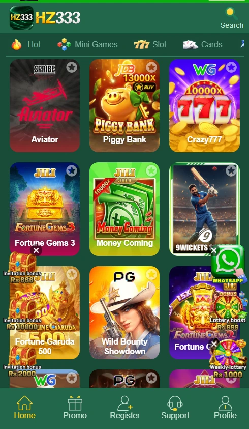 HZ333 Game